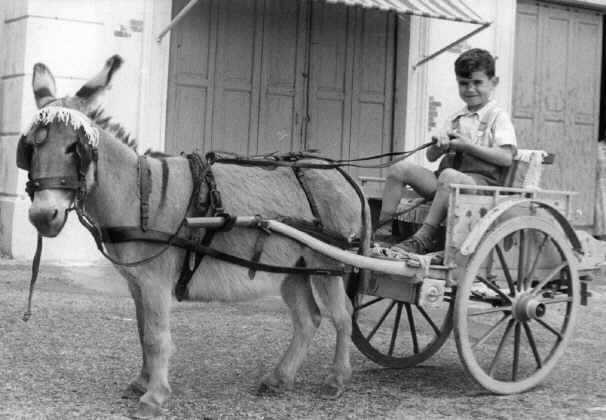 Fotos de los Miembros de la Familia Ropolo